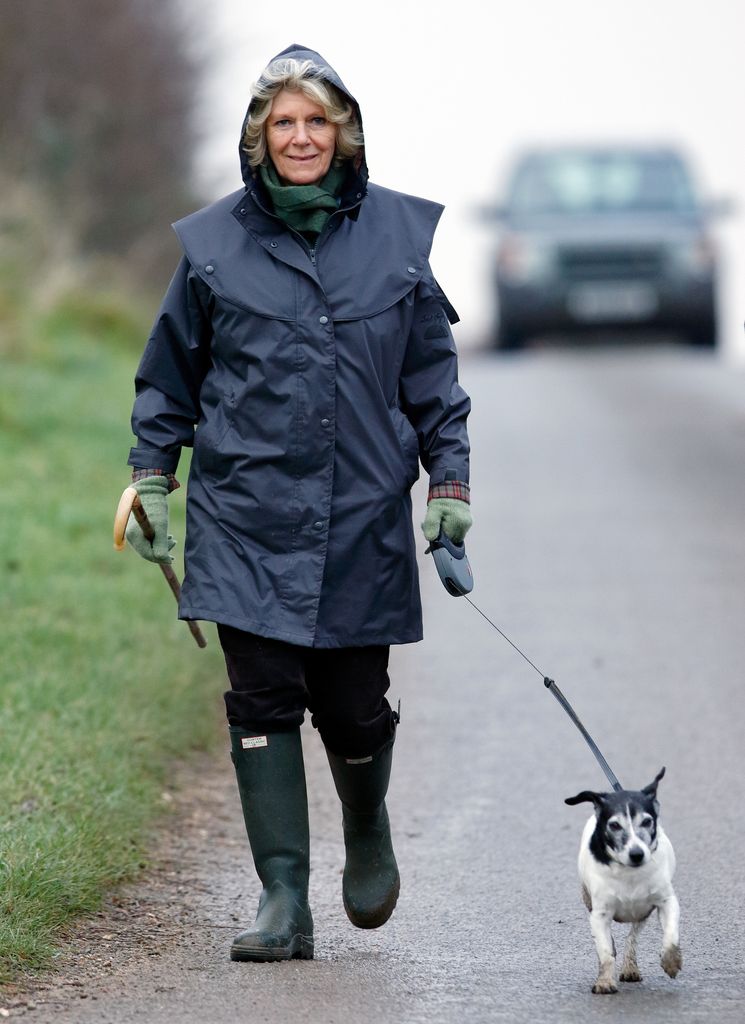 Queen Camilla seen out walking her Jack Russell Terrier dog near Sandringham