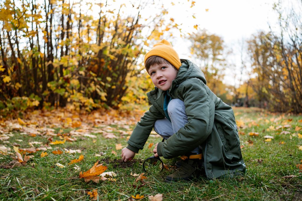 Little naturalist in autumn forest.  Curious little boy investigate autumn grass and leaves, armed with magnifying glass. Focus on boy