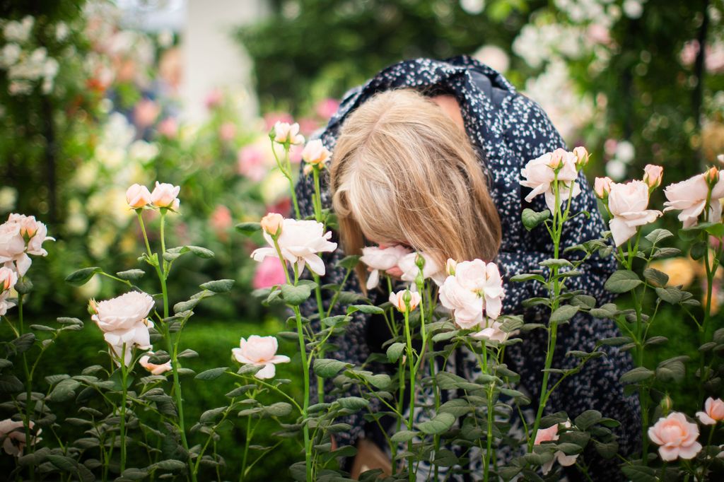 The RHS Chelsea Flower Show runs from 20 to 24 May