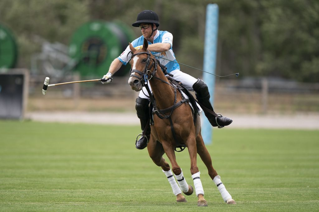 Prince Harry playing polo on a brown horse