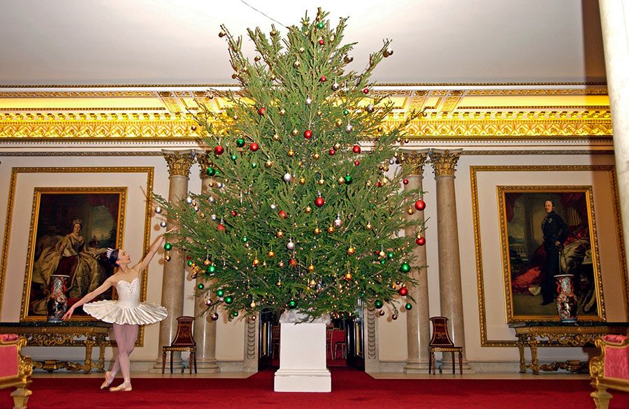 9 2004 Buckingham Palace Christmas tree