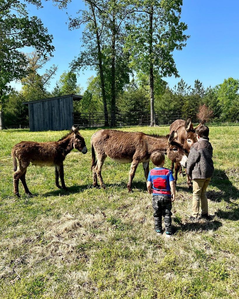 carrie underwood sons with donkeys at home tennessee