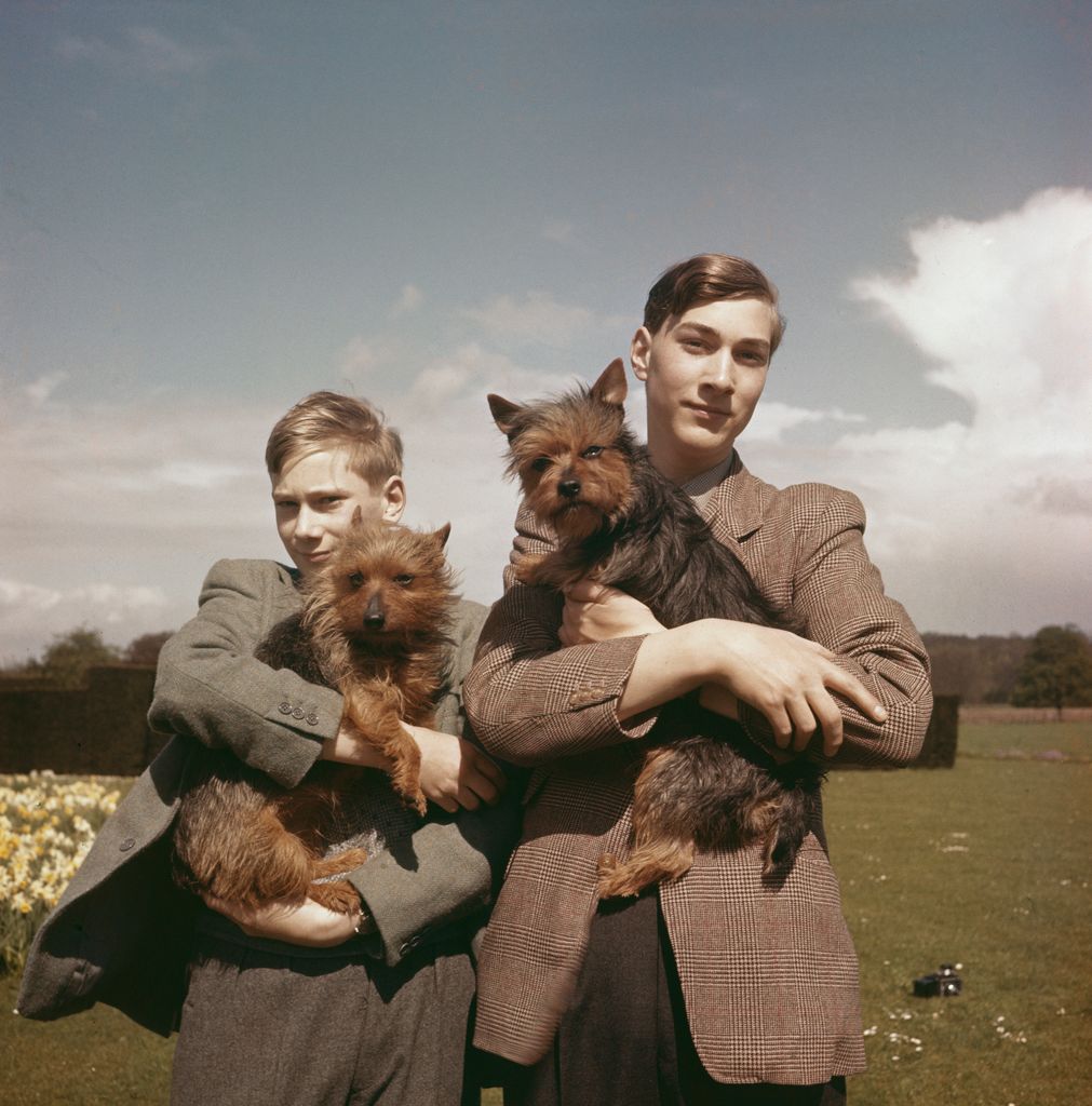 Prince Richard and older brother Prince William holding dogs