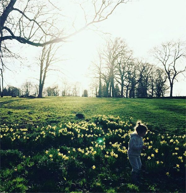 peter andre daughter amelia daffodils instagram