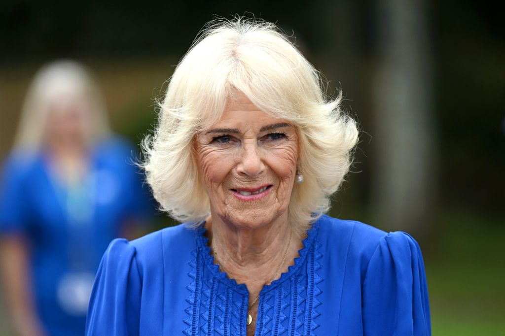 Queen Camilla in blue dress
