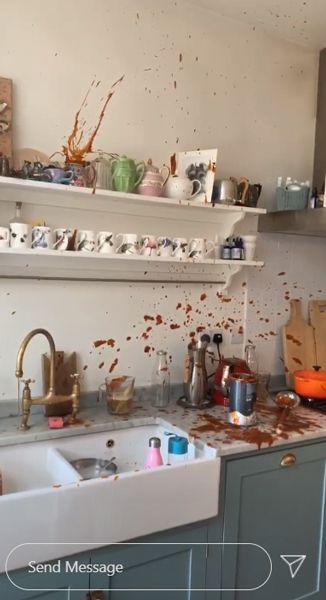 lisa kitchen disaster 