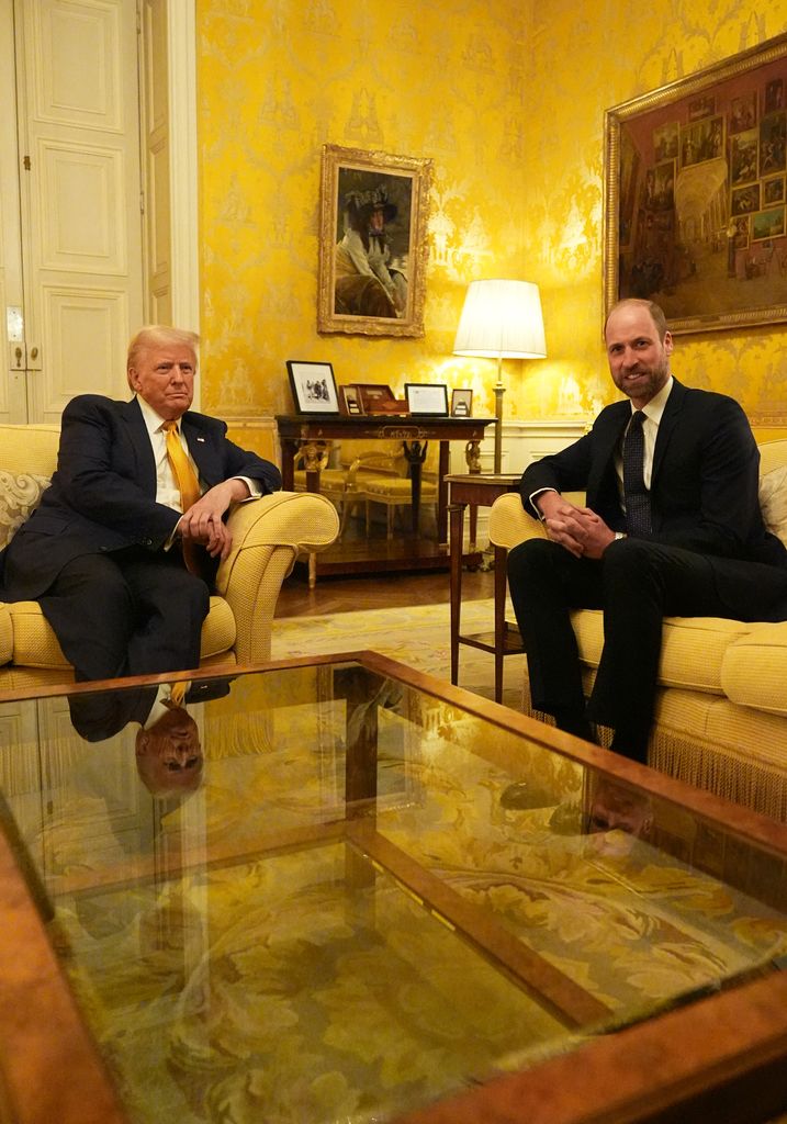 The Prince of Wales with then President-elect Donald Trump in Paris