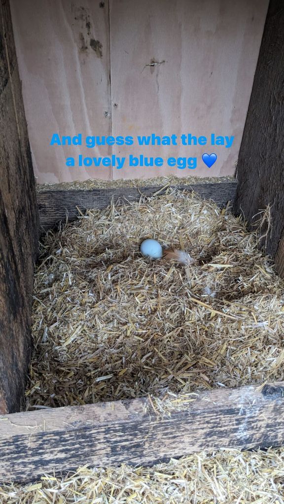 A photo of a blue egg