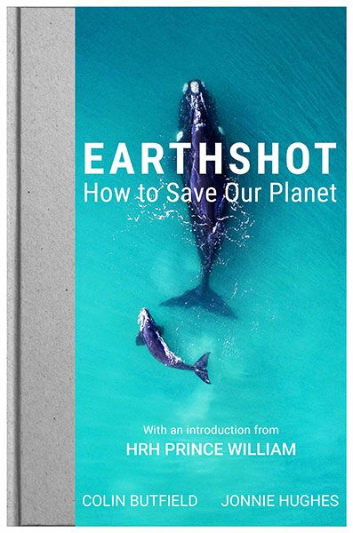 earthshot how to save our planet