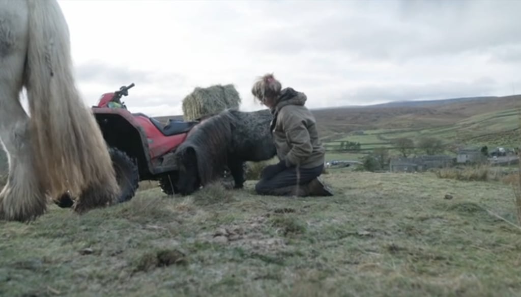 woman on farmland with little pony