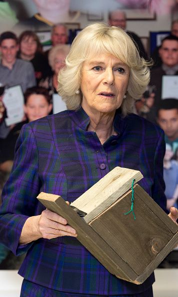 Duchess Camilla shows off her signature plaid style — and love of ...