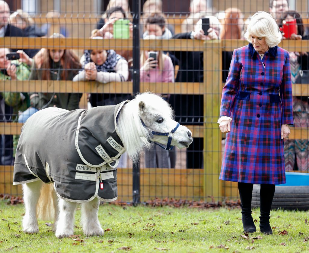 Camilla in purple tartan coat with pony