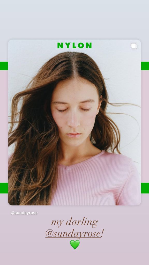 sunday rose nylon cover