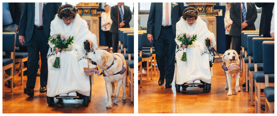 Assistance dog carrying rings in a basket at a wedding