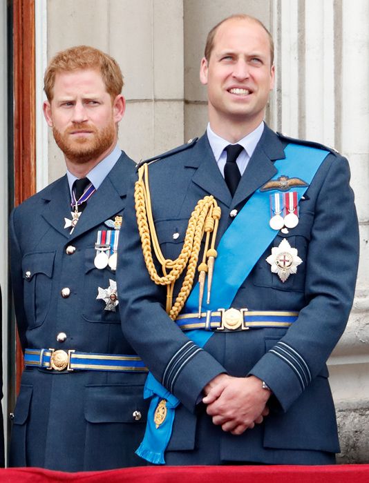 prince harry and prince william in uniforms