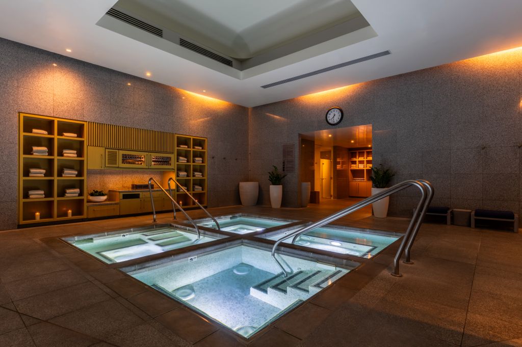 Plunge pool at the Aria Spa and Salon