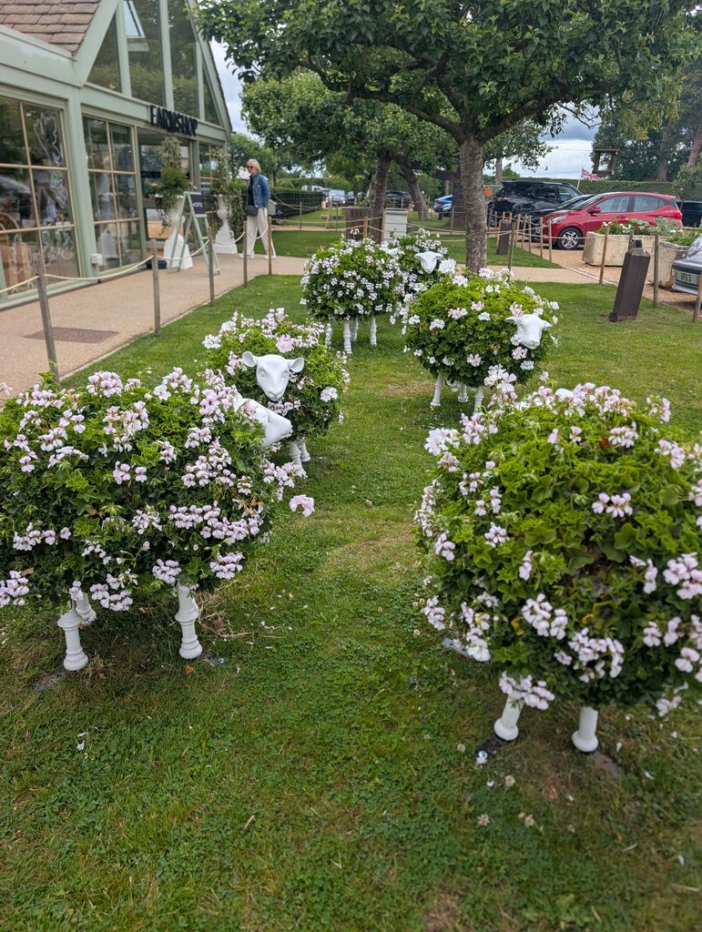 Les moutons topiaires de Daylesford Organic