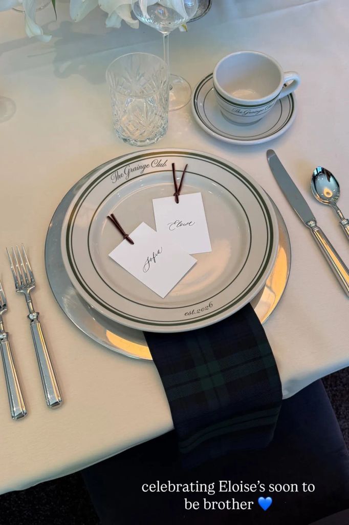 sofia richie baby announcement baby shower