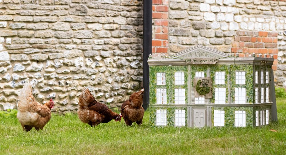 Charles' designer hen house features green foliage