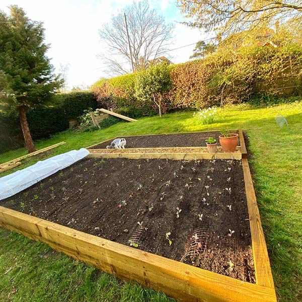zoe ball vegetable patch
