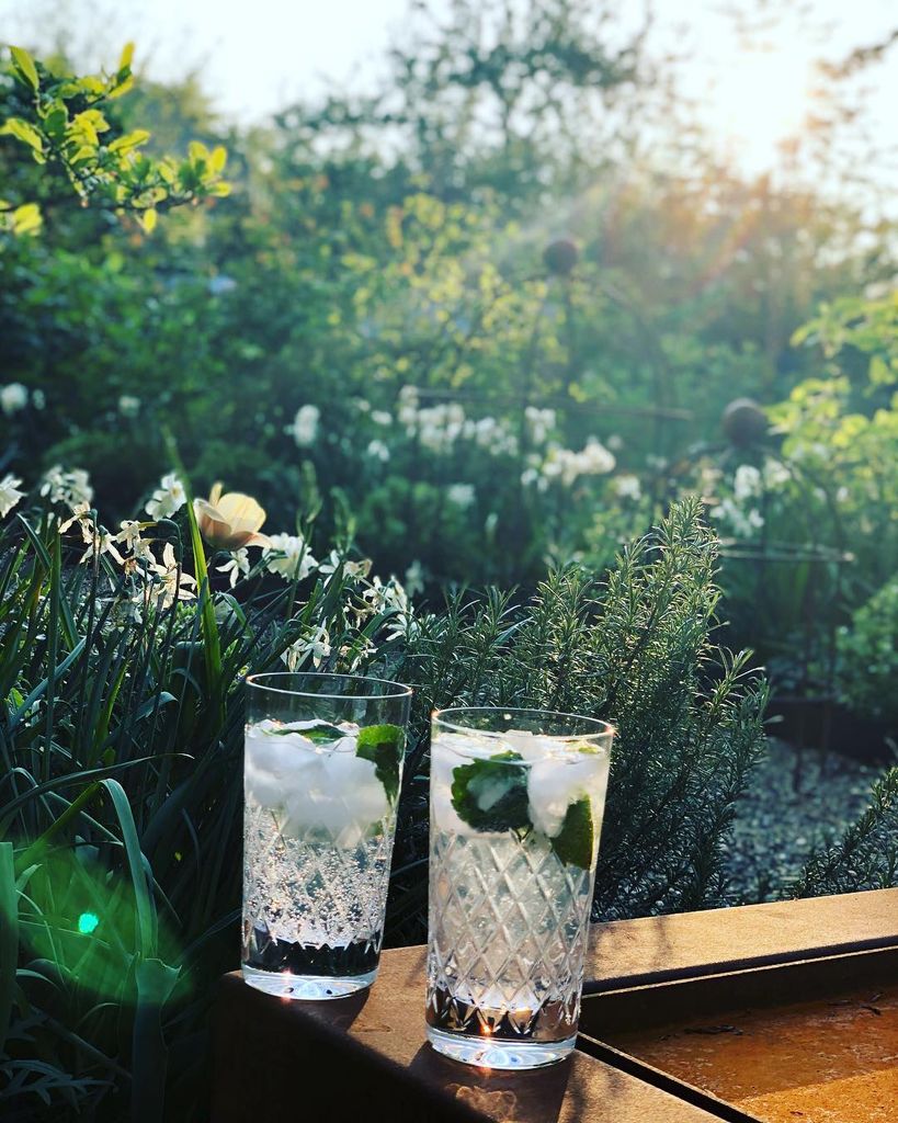 two glasses of gin and tonic in garden 