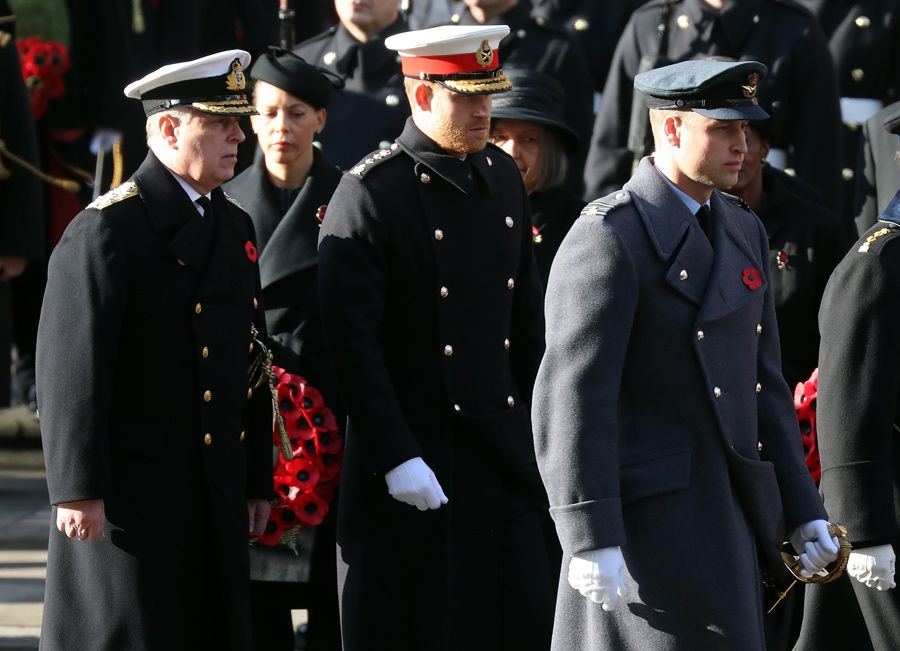 prince william and prince harry at remembrance sunday