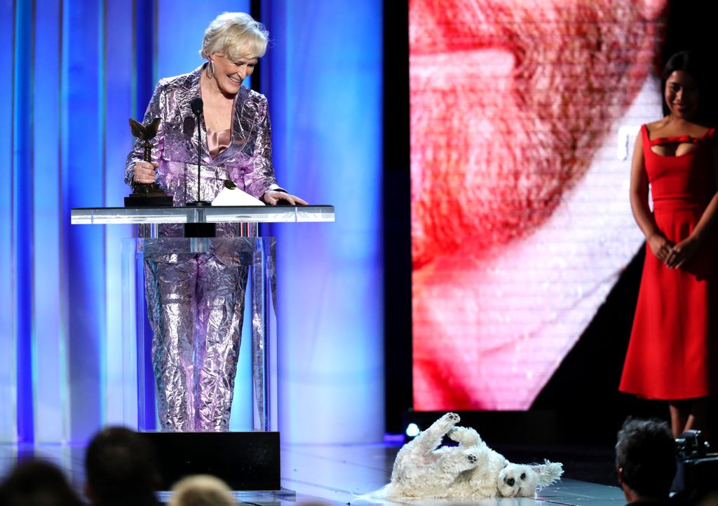 Glenn Close - Best Female Lead - 'The Wife' with her dog Pip