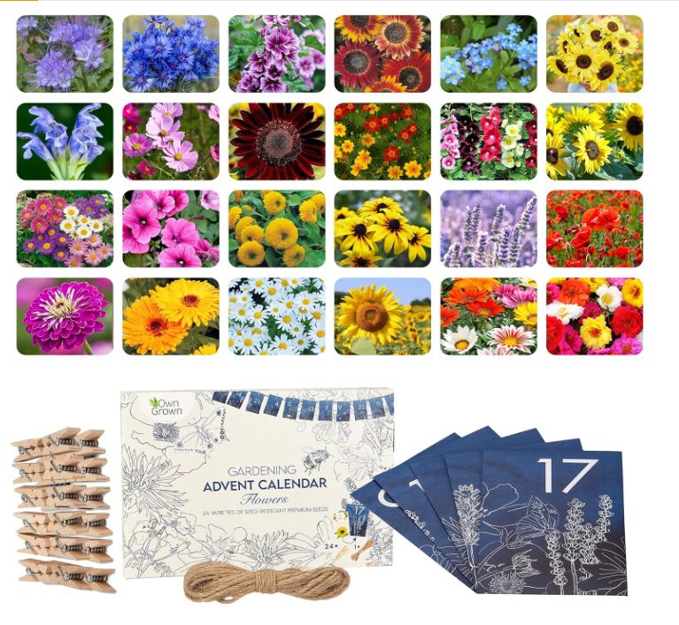 seed advent calendar for gardeners