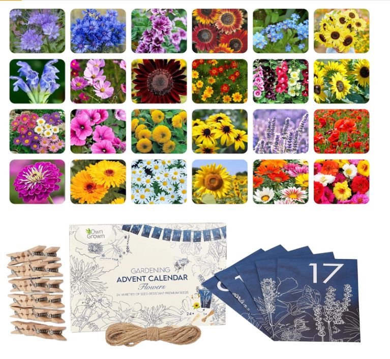 16 weird advent calendars I found online Quirky & unique countdowns