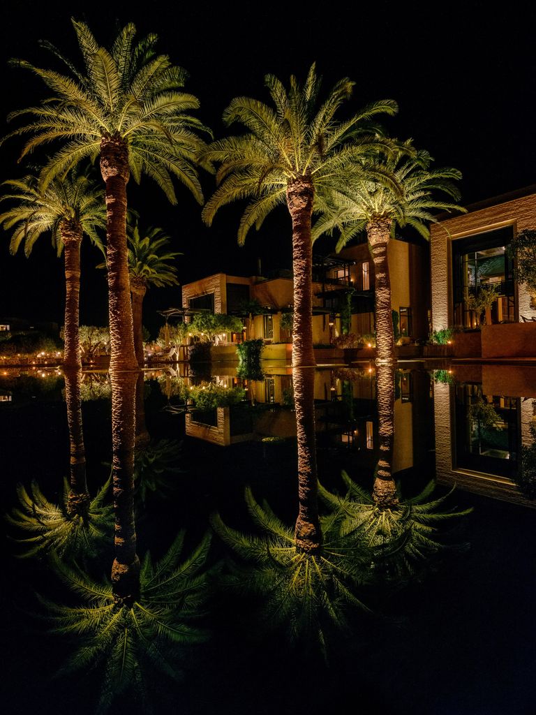 Royal Fairmont Palm Marrakech night view of palm trees