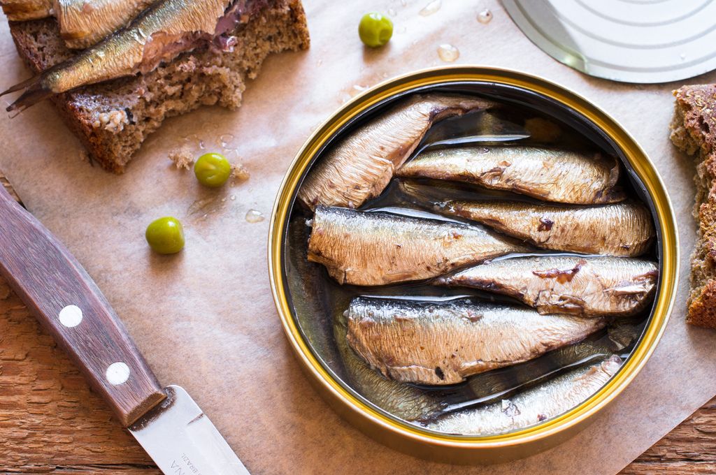 Boîte en boîte de sprates, sardines. Vue de haut niveau