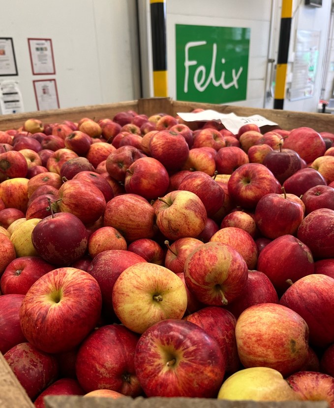 crate of red apples