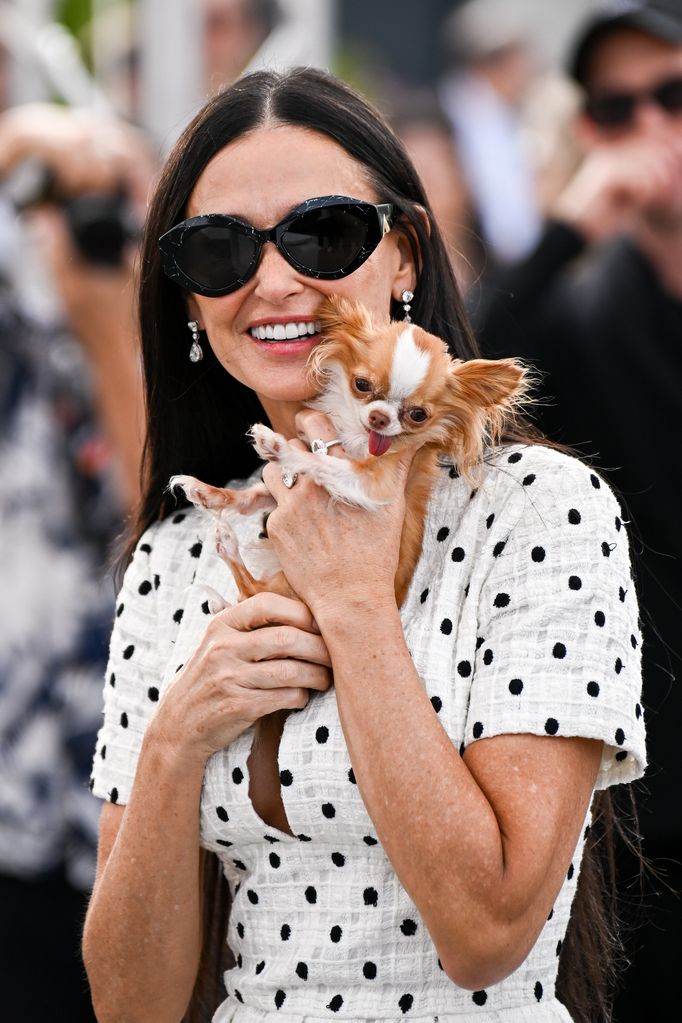 Demi Moore with Pilaf the dog attends the "The Substance" Photocall at the 77th annual Cannes Film Festival at Palais des Festivals on May 20, 2024 in Cannes, France. 