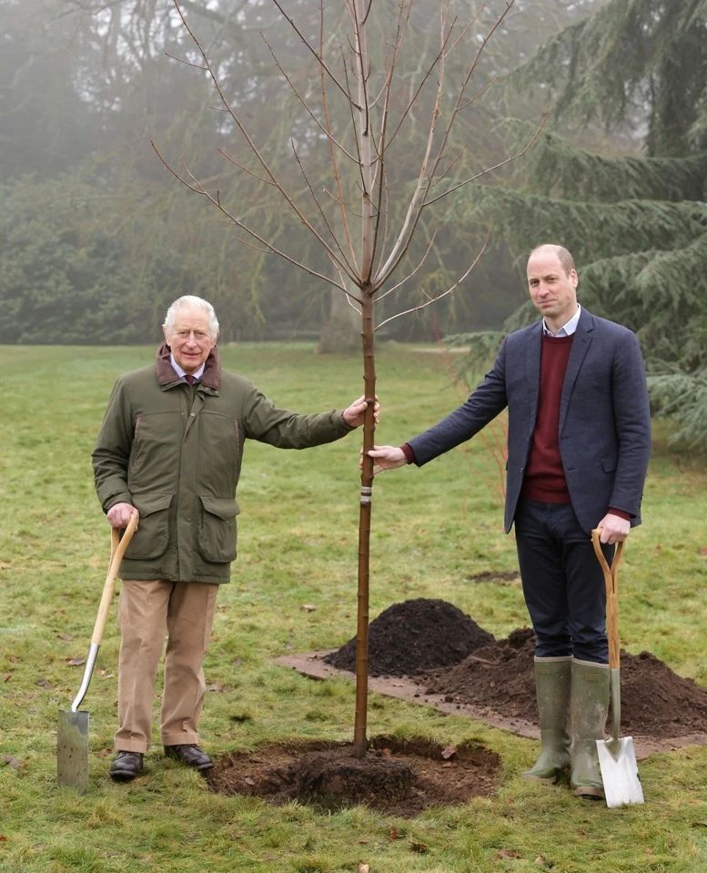 King Charles and Prince William stand together to plant the final tree as part of the Queen's Green Canopy initiative