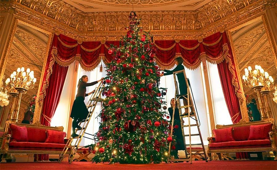 the queen home christmas tree z