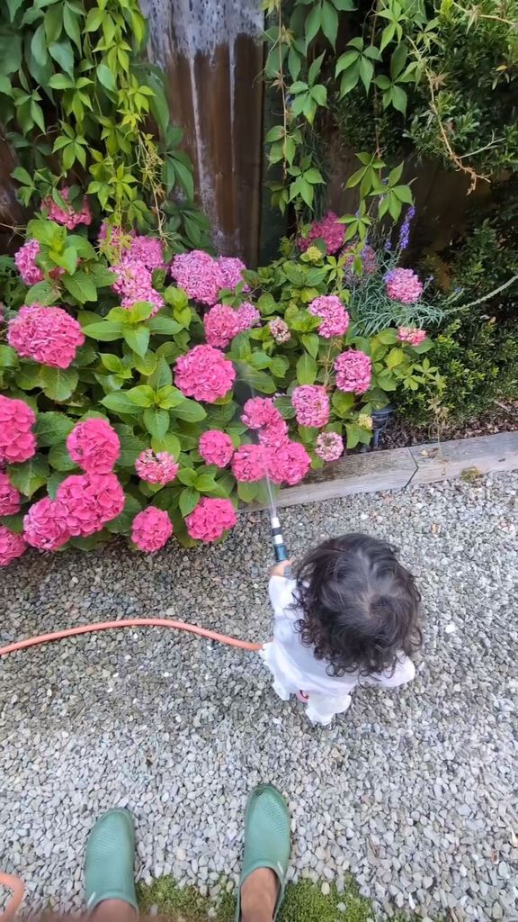 young toddler watering plants with hose