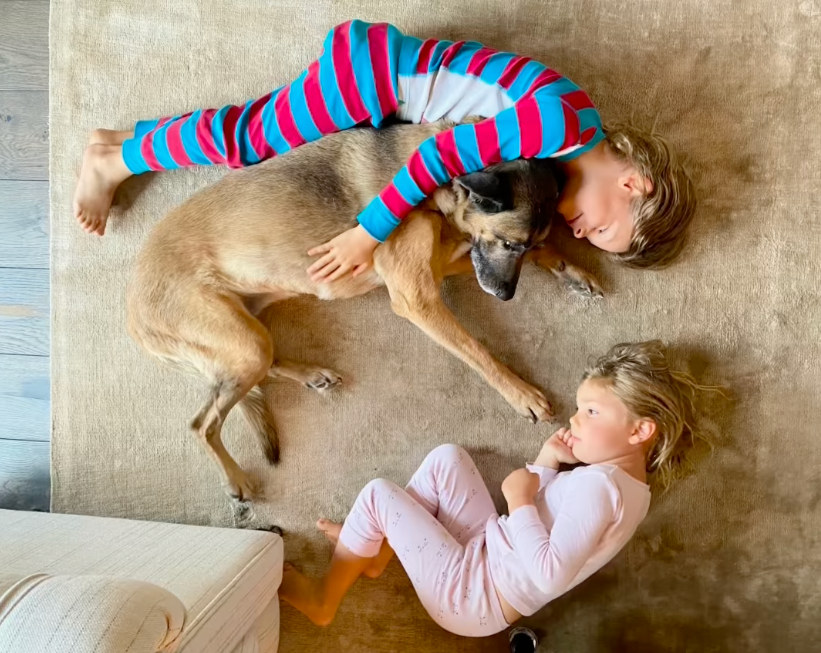 Photo shared by Daniela Ruah announcing her do Roxy's death, in which her kids are pictured with the pup