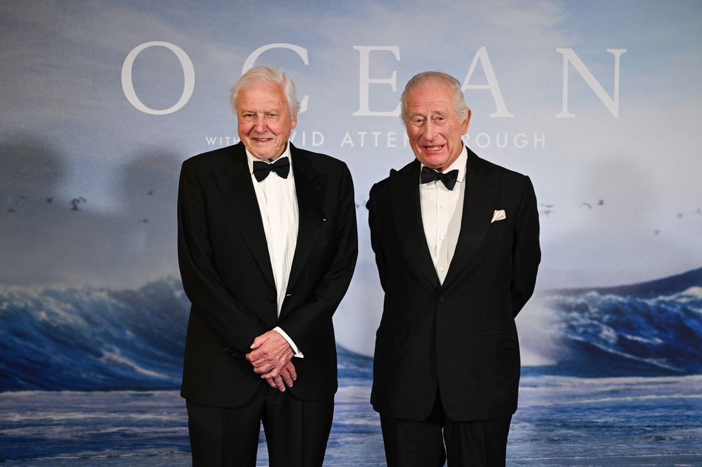 David Attenborough and King Charles III walked the blue carpet at the "Ocean With David Attenborough" World Premiere at The Royal Festival Hall
