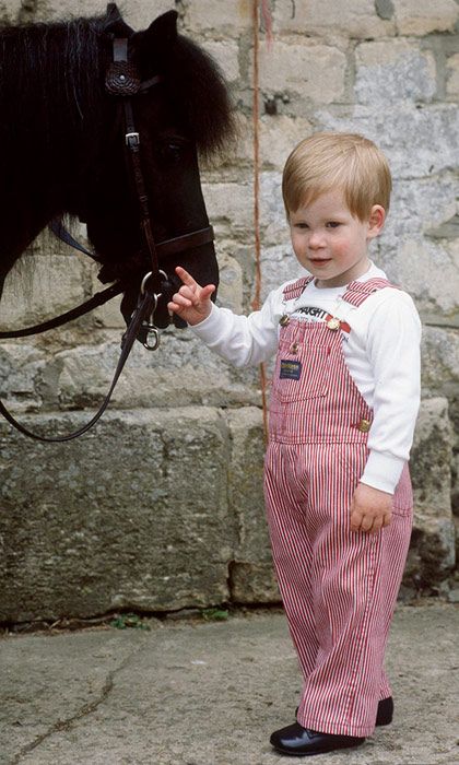 Prince Harry 3 pony 