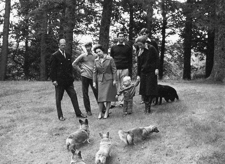 prince philip walkings dogs in the woods