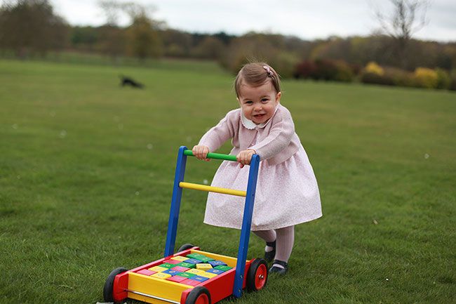 Charlotte's first birthday pictures