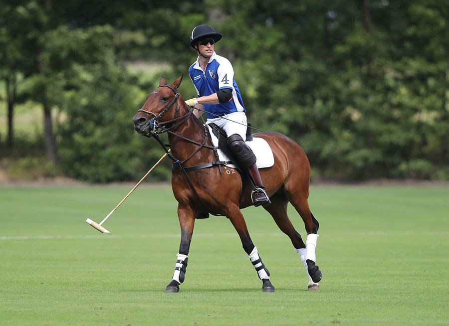 prince william at the polo