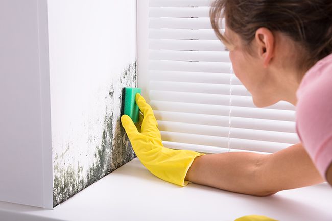 Woman cleaning mould