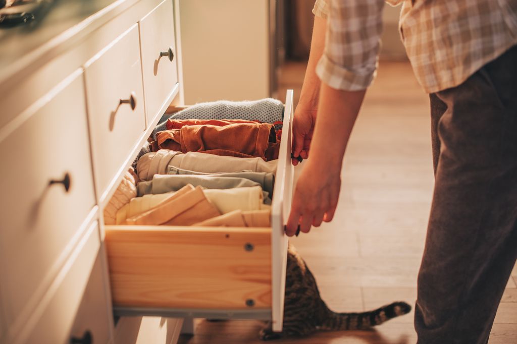 chest of drawers with clothes folded up 