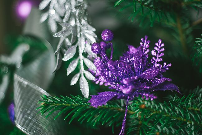 christmas tree purple