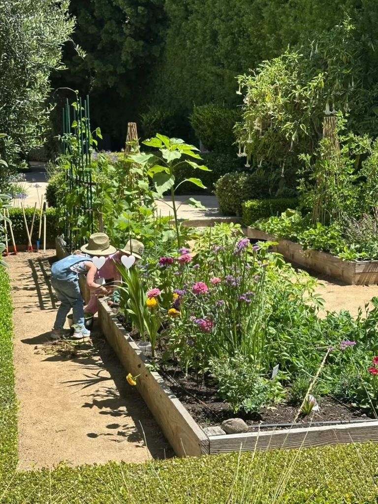 Katherine shared an idyllic pic of the kids playing in the garden