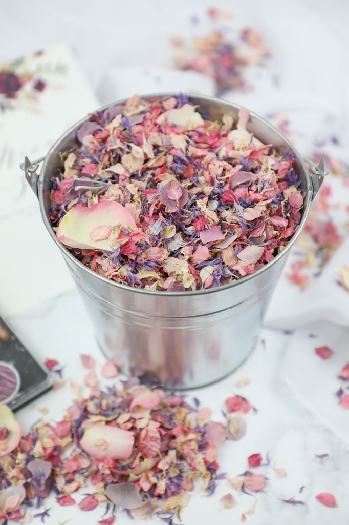  Shropshire Petals