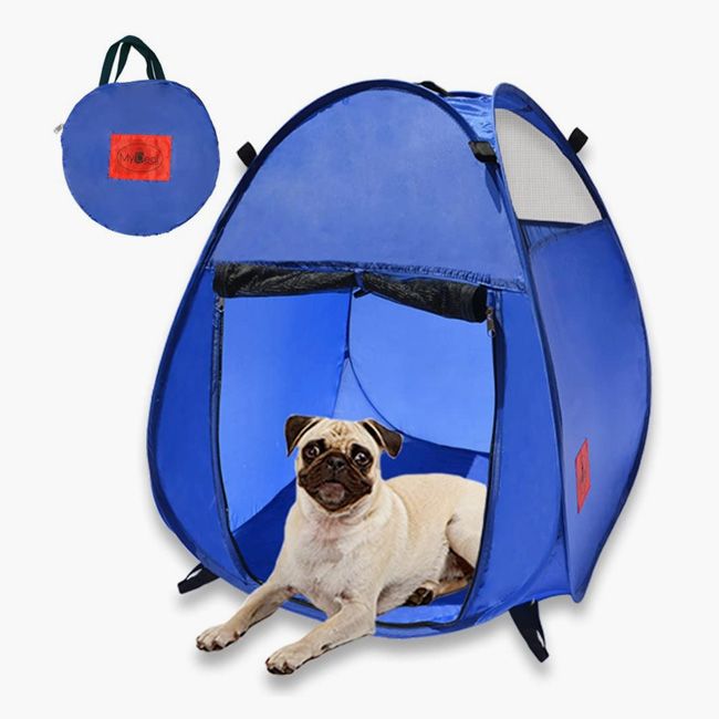 dog tent