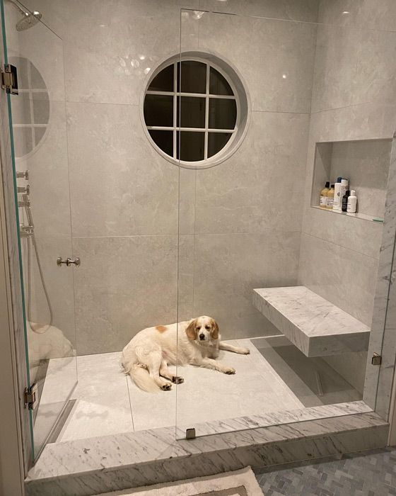 lara spencer bathroom dog