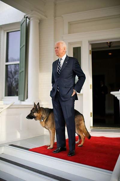 joe biden dog 2